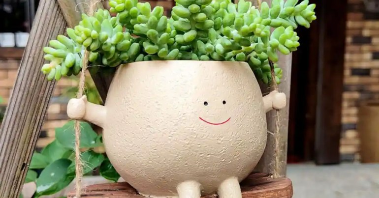 10 Cara Susun Pasu Bunga Depan Rumah 11 Inovasi dan Kreativiti