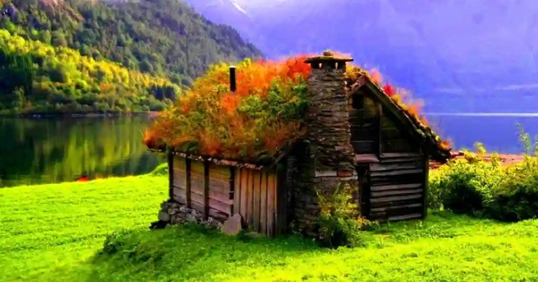 10 Cara Susun Pasu Bunga Depan Rumah 8 Integrasi dengan Elemen Lain