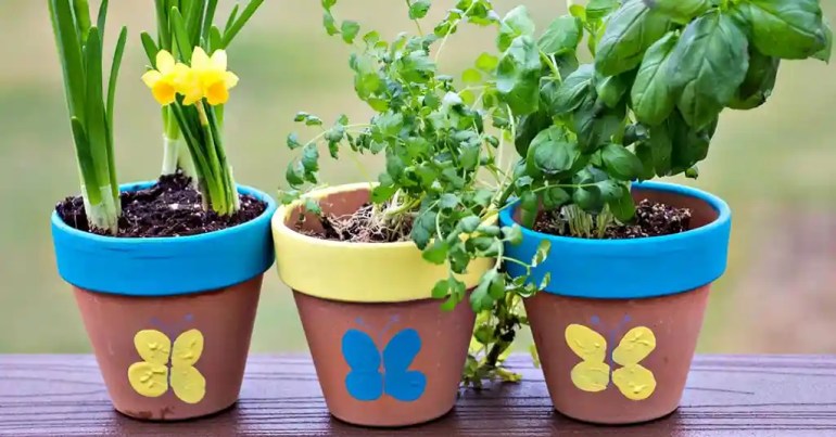 10 Cara Susun Pasu Bunga Depan Rumah 3 Penentuan Lokasi Pasu Bunga