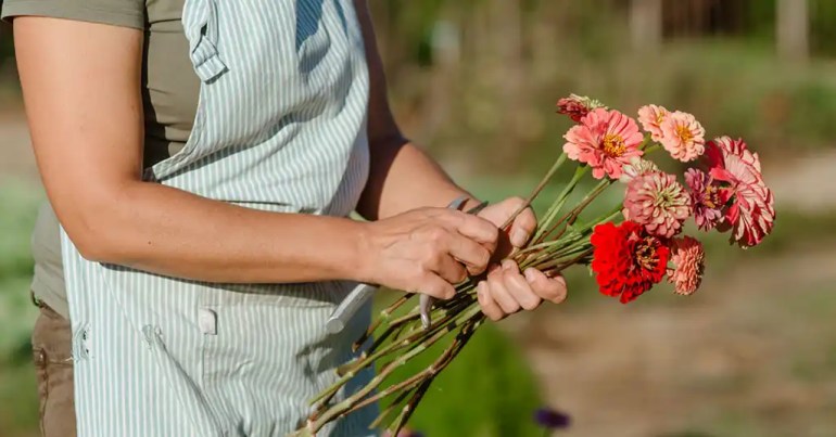 10 Cara Susun Pasu Bunga Depan Rumah 10 Penyelenggaraan Berkala