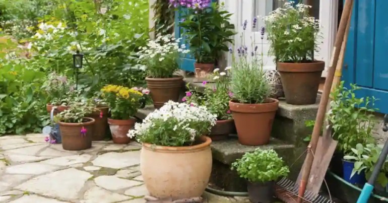 10 Cara Susun Pasu Bunga Depan Rumah 6 Susunan Pasu Bunga