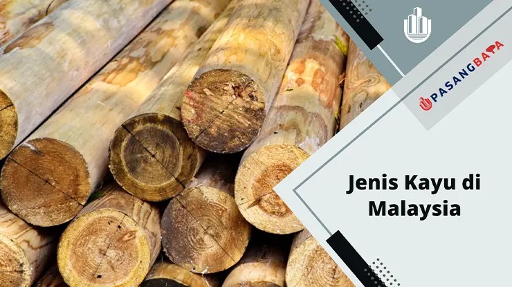 20 Jenis Kayu di Malaysia Paling Lengkap 2024 1 Jenis Kayu di Malaysia Paling Lengkap