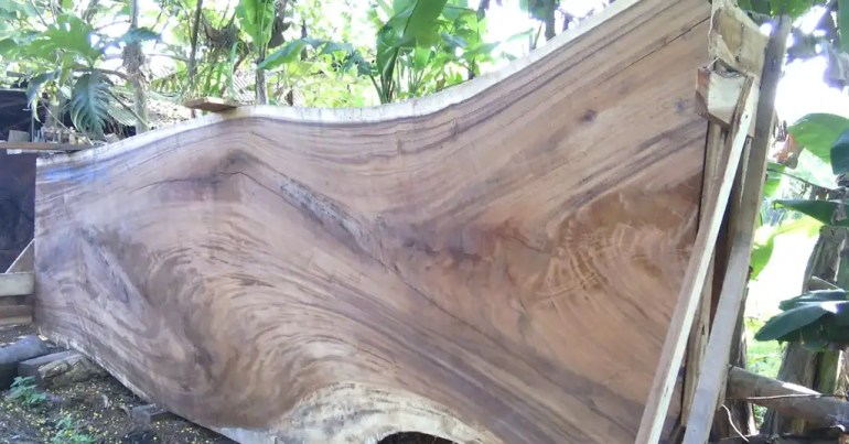 Kegunaan Kayu Jati dalam Industri