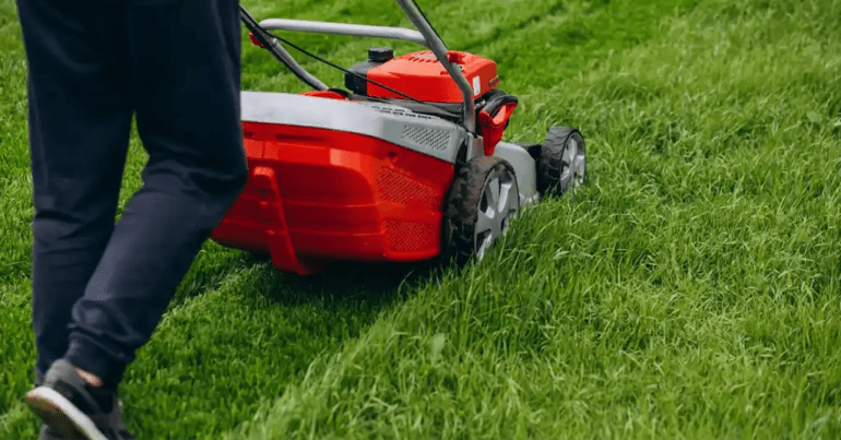Harga Potong Rumput Per Meter di Malaysia 2024 4 Tips Menjimatkan Kos Potong Rumput