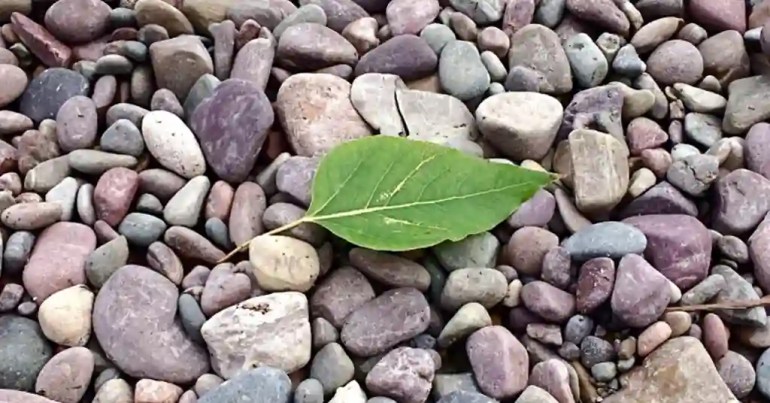 Harga Batu Kerikil Satu Lori di Malaysia 2024 10 Batu Kerikil Piemonte