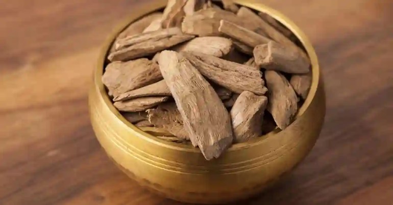 Harga Kayu Gaharu Terkini di Malaysia 2024 3 Jenis Kayu Gaharu di Malaysia