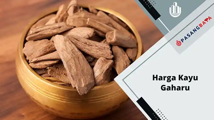 Harga Kayu Gaharu Terkini di Malaysia 2024 1 harga kayu gaharu