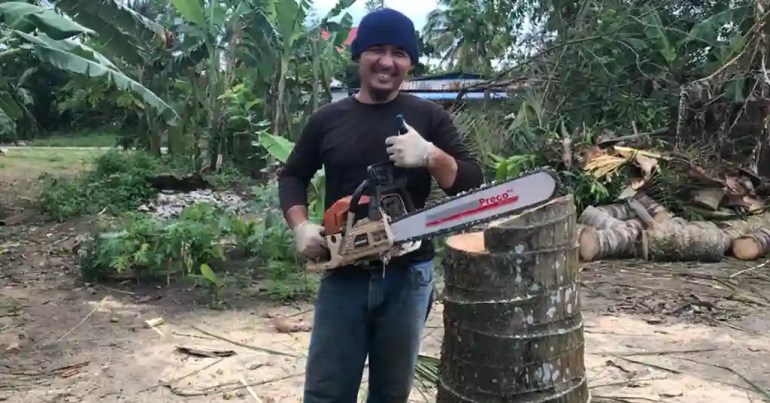 Harga Upah Tebang Pokok Besar di Malaysia 2024 2 Alat dan Tenaga Kerja Tebang Pokok Besar