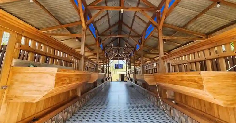 Kos Buat Kandang Kambing di Malaysia 2024 3 Faktor Penentu Kos Buat Kandang Kambing