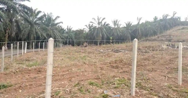 Harga Upah Pasang Pagar Kebun di Malaysia 2024 3 Kegunaan Utama Pasang Pagar Kebun