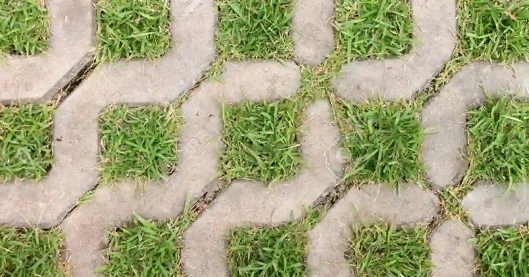 Kos Pasang Paving Block Per Meter di Malaysia 2024 7 Paving Block Rumput (Grass Block)