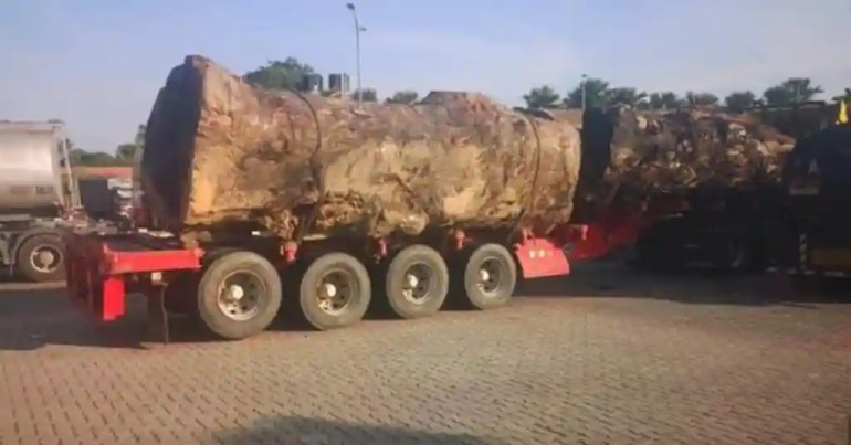 Harga Kayu Balak 1 Tan di Malaysia 2024 5 Tips Membeli Kayu Balak di Malaysia