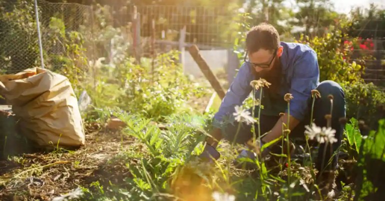 Harga Upah Kemas Kebun Terkini di Malaysia 2024 4 Tips Memilih Pekerja Kemas Kebun Berkualiti