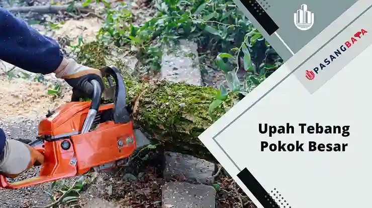 Harga Upah Tebang Pokok Besar di Malaysia 2024 1 Upah Tebang Pokok Besar